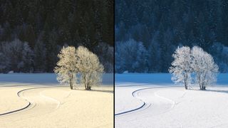 Two contrasting views of a snowy landscape: on the left, bright sunlight illuminates frosted trees; on the right, a cooler, darker atmosphere prevails and white snow