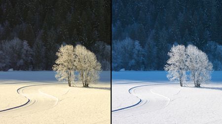Two contrasting views of a snowy landscape: on the left, bright sunlight illuminates frosted trees; on the right, a cooler, darker atmosphere prevails and white snow