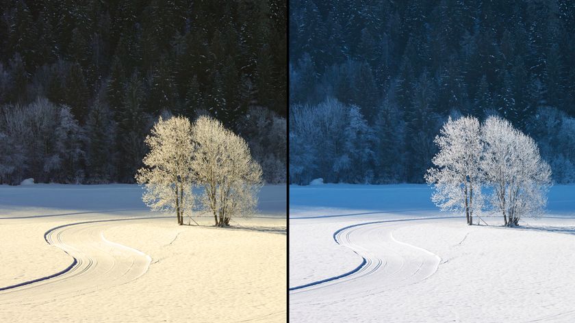 Two contrasting views of a snowy landscape: on the left, bright sunlight illuminates frosted trees; on the right, a cooler, darker atmosphere prevails and white snow