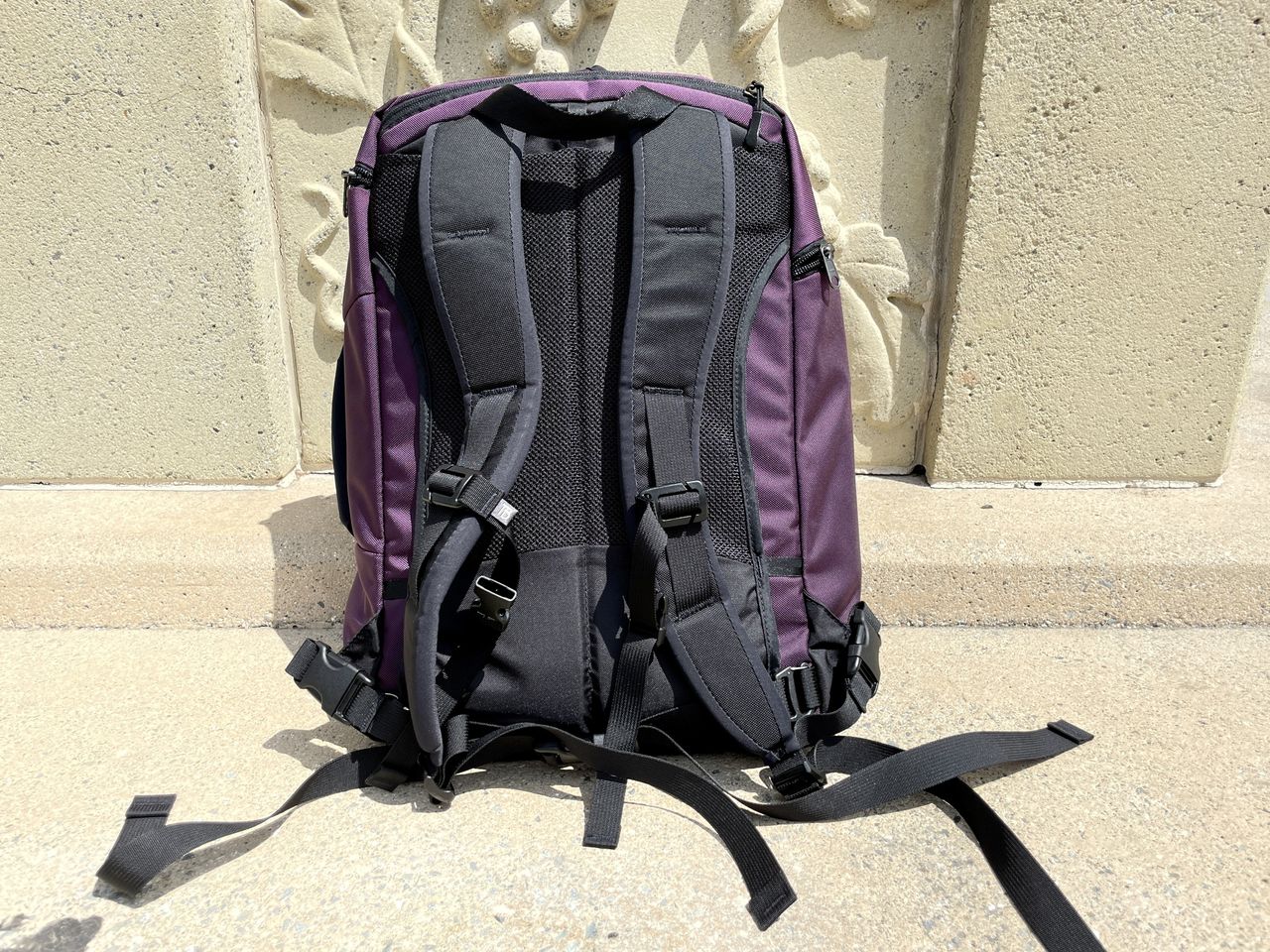Tom Bihn Techonaut 30 Aubergine Back