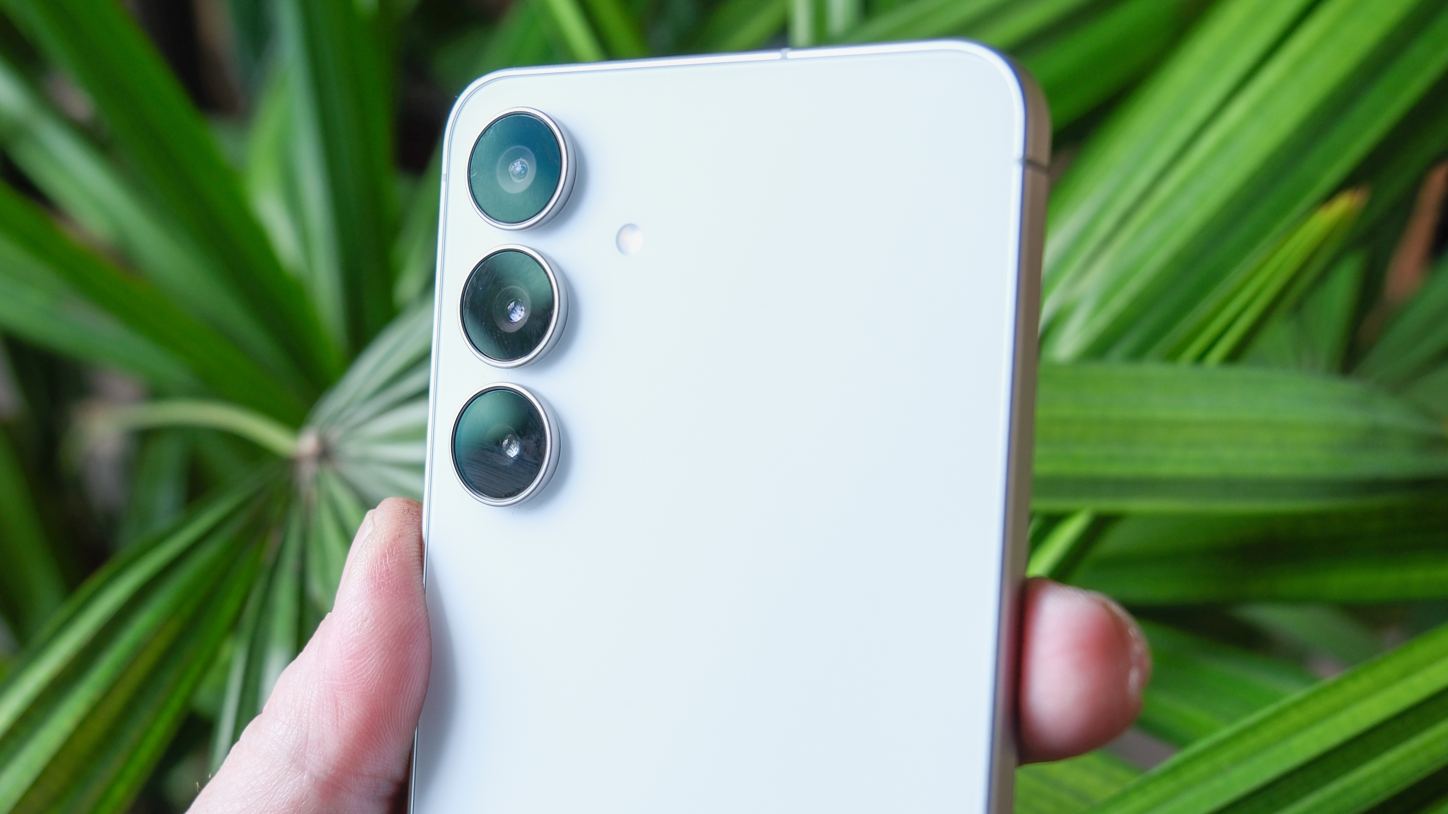 Samsung Galaxy S25 FE in hand with long green leaves behind