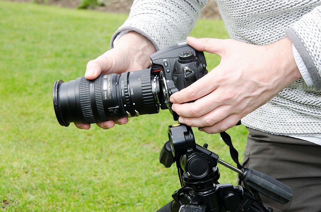 How to use extension tubes for low-cost macro photography | Digital ...