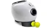 Paws & Pals Automatic Dog Ball Launcher Toy
