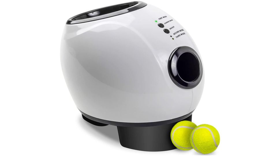 Best ball throwing machines for dogs 2024 PetsRadar