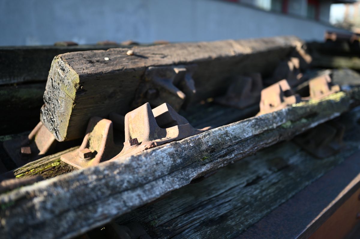Nikon Z 35mm f/1.2 S example shot