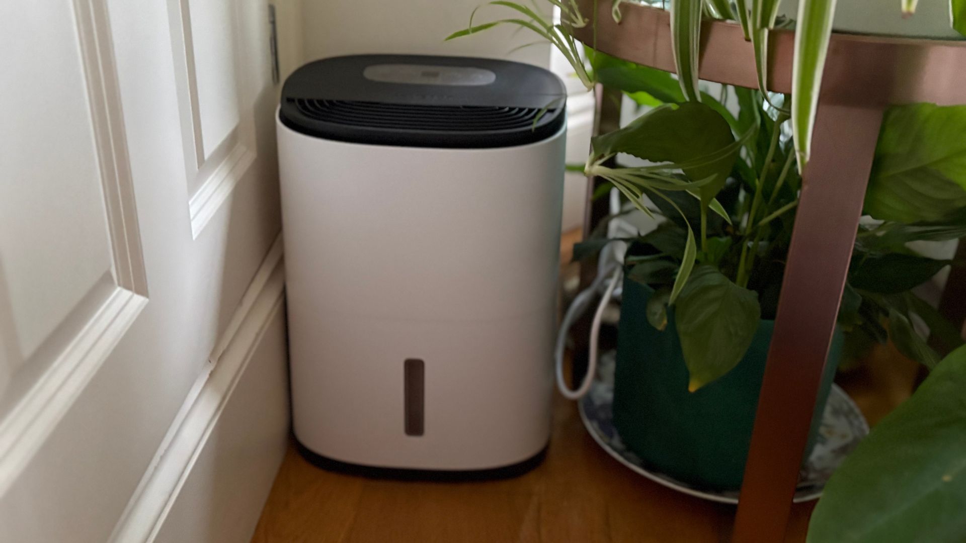 Testing the Meaco Arete One 6L Dehumidifier