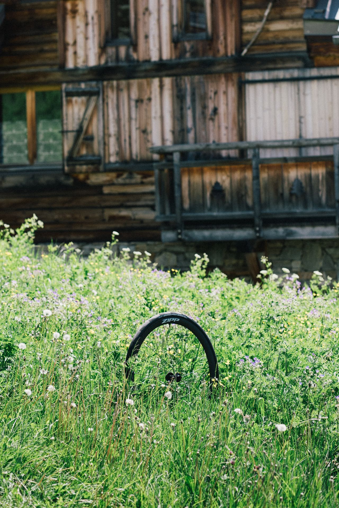 A zipp wheel in an alpine meadow