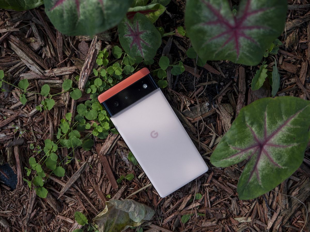 Google Pixel 6 Coral Back