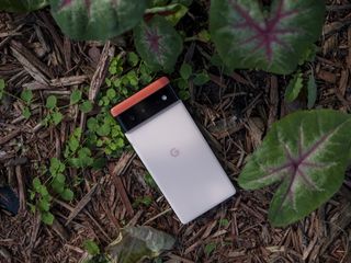 Google Pixel 6 Coral Back