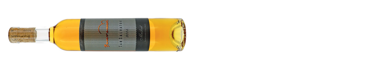 Benvenuti, San Salvatore Mu&amp;scaron;kat 2015