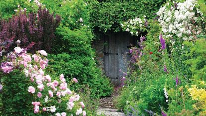 Gardening jobs to do before September