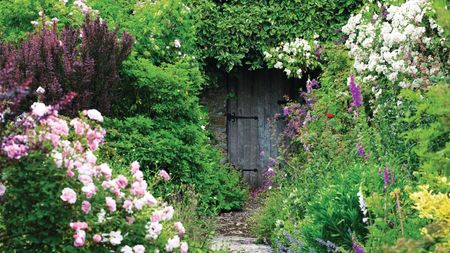 Gardening jobs to do before September