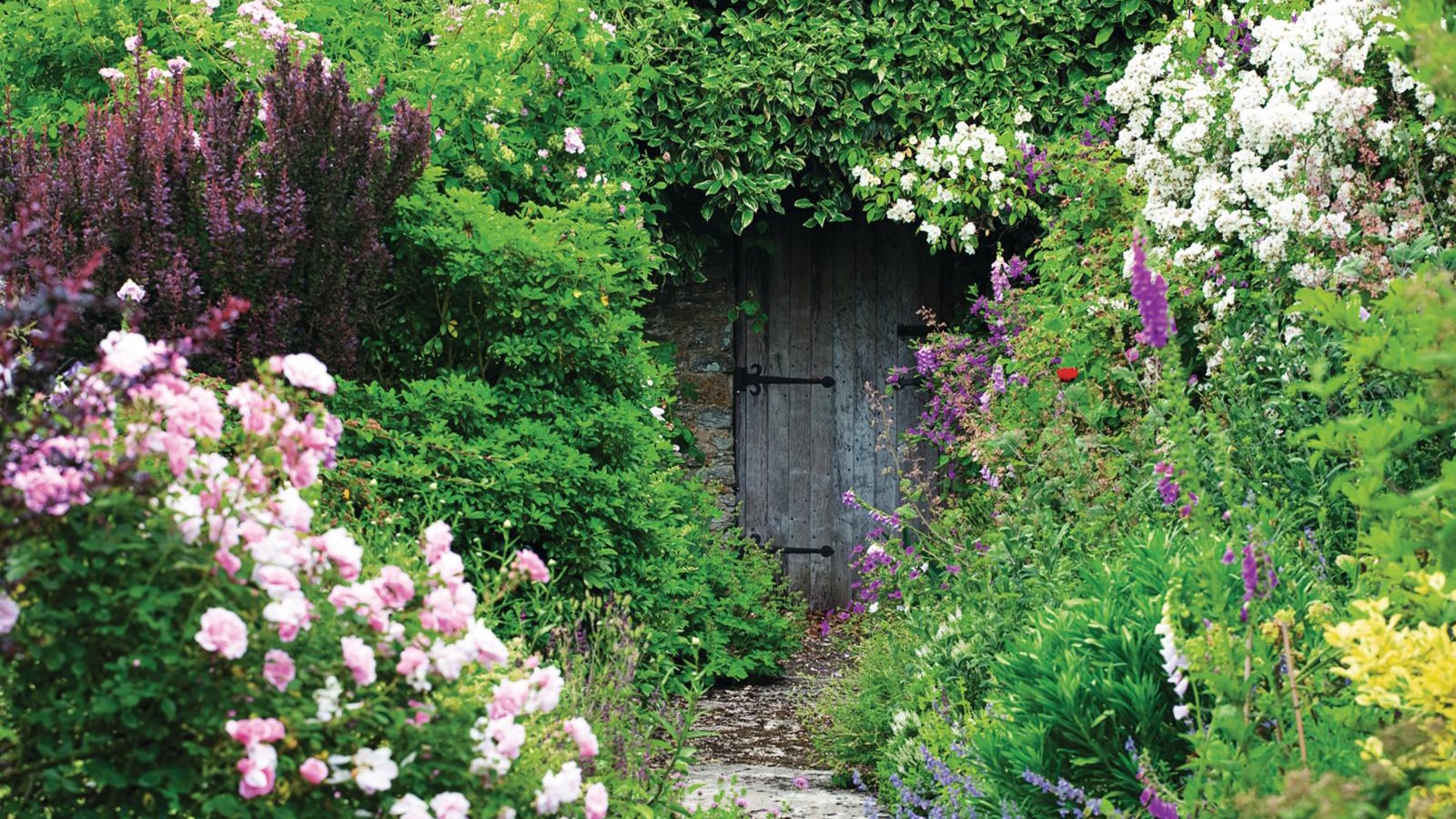 Gardening jobs to do before September