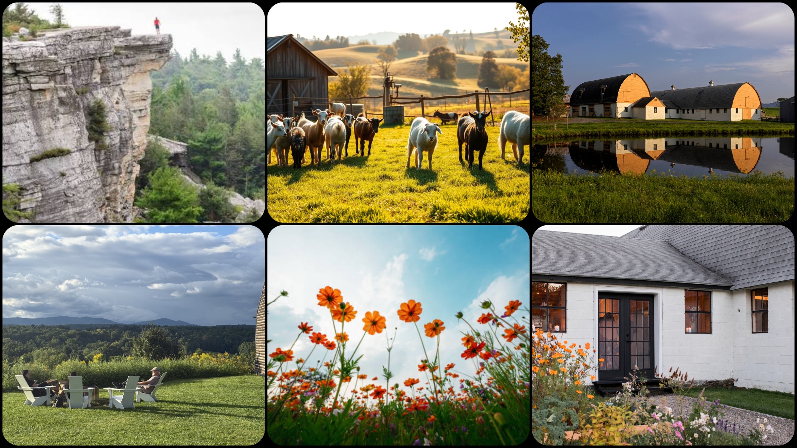 Upstate New York getaway featuring a dramatic hiking overlook, grazing cattle, modern barns, mountain views, wildflowers, and a countryside cottage.