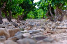 Spanish Wine Academy terroir