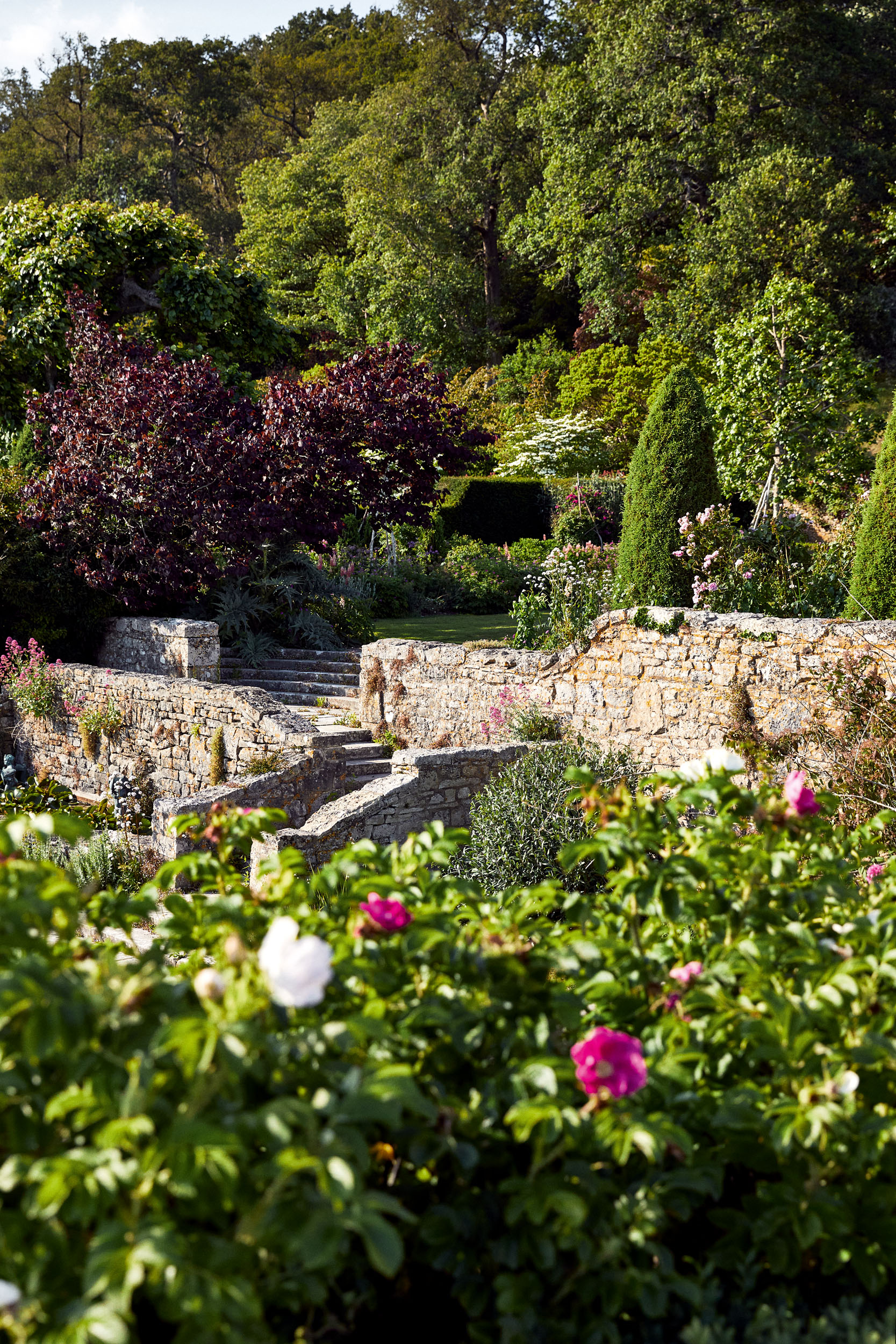 The garden at Fonthill House, Wiltshire