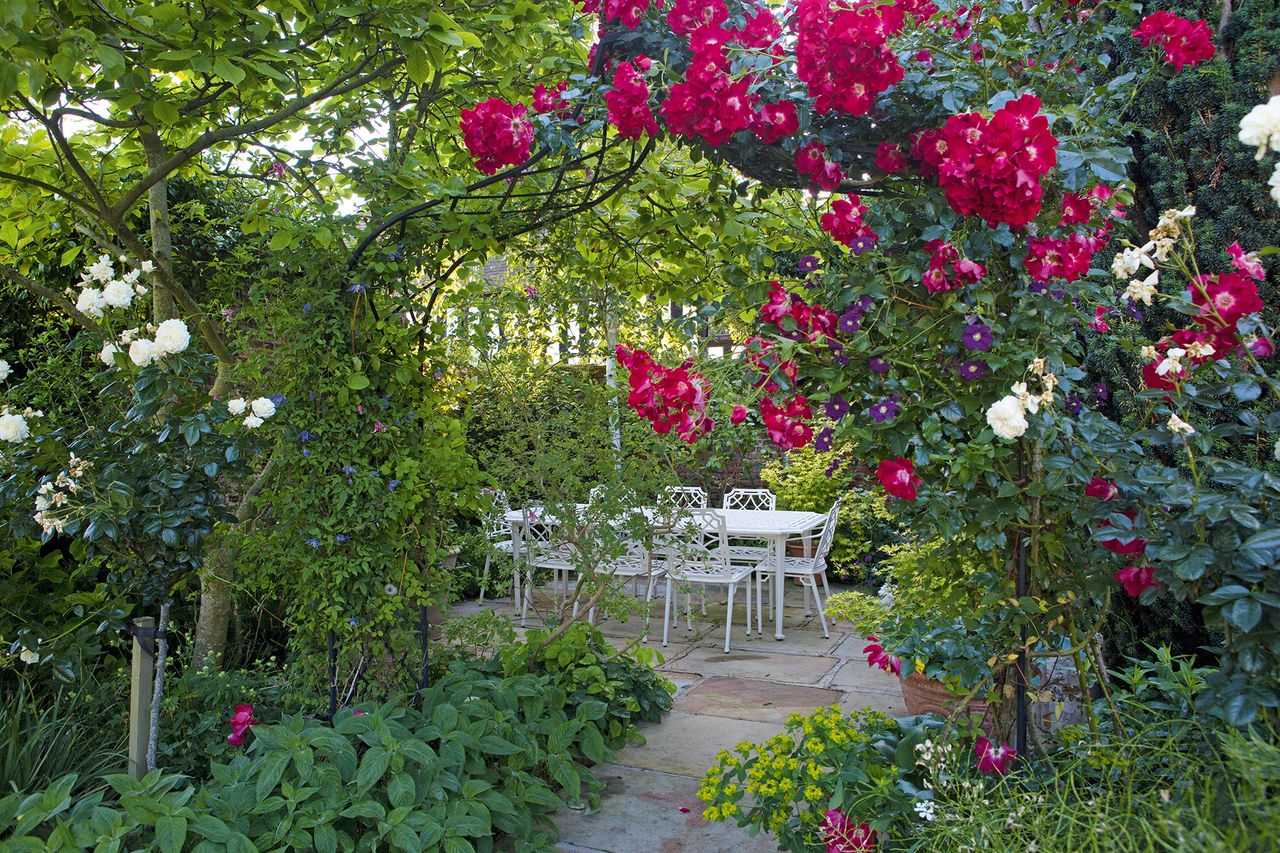 Fragrant garden with scented plants including roses and clematis, surrounding an outdoor dining area