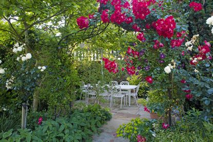 Fragrant garden with scented plants including roses and clematis, surrounding an outdoor dining area