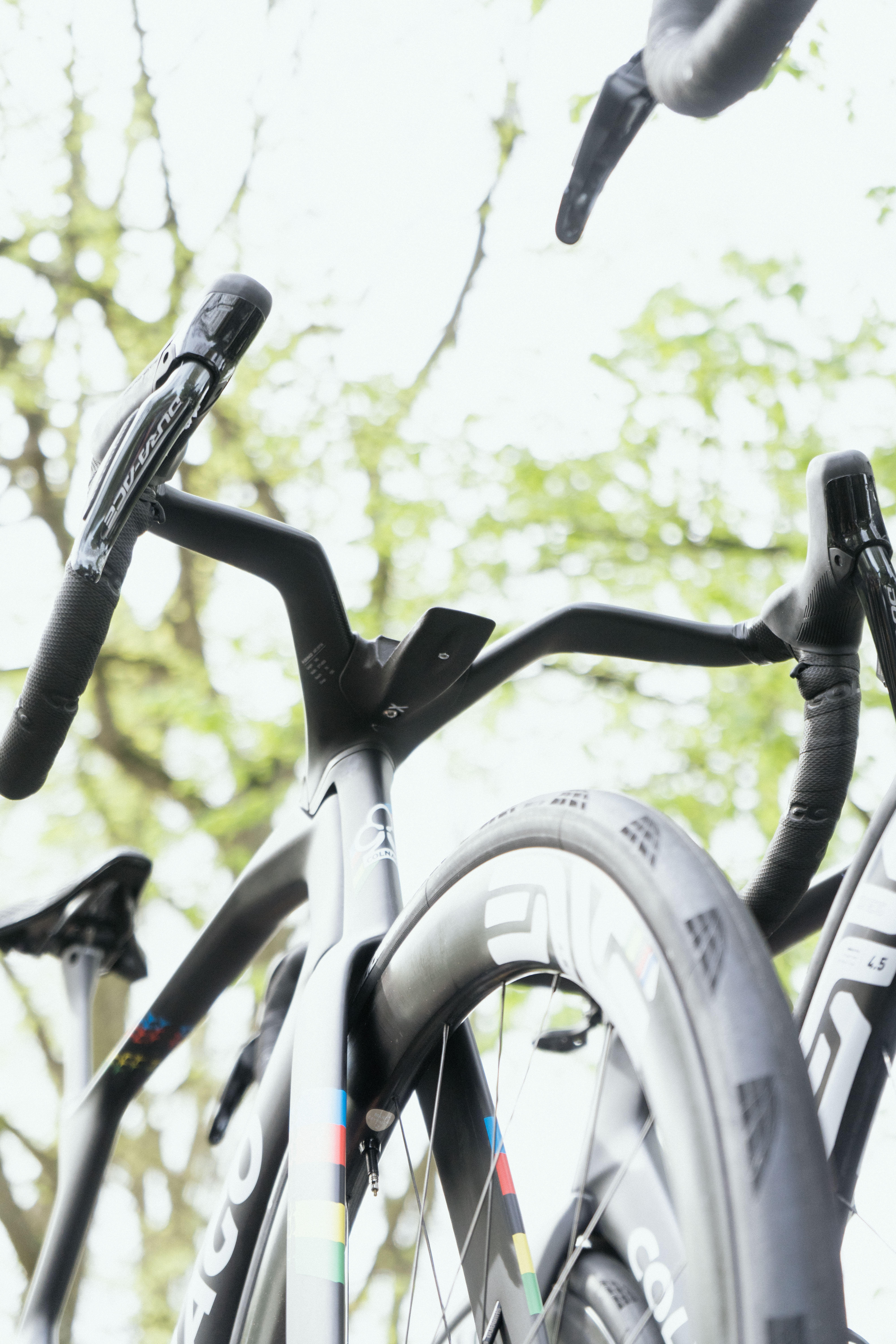 Tadej Pogacar's bike