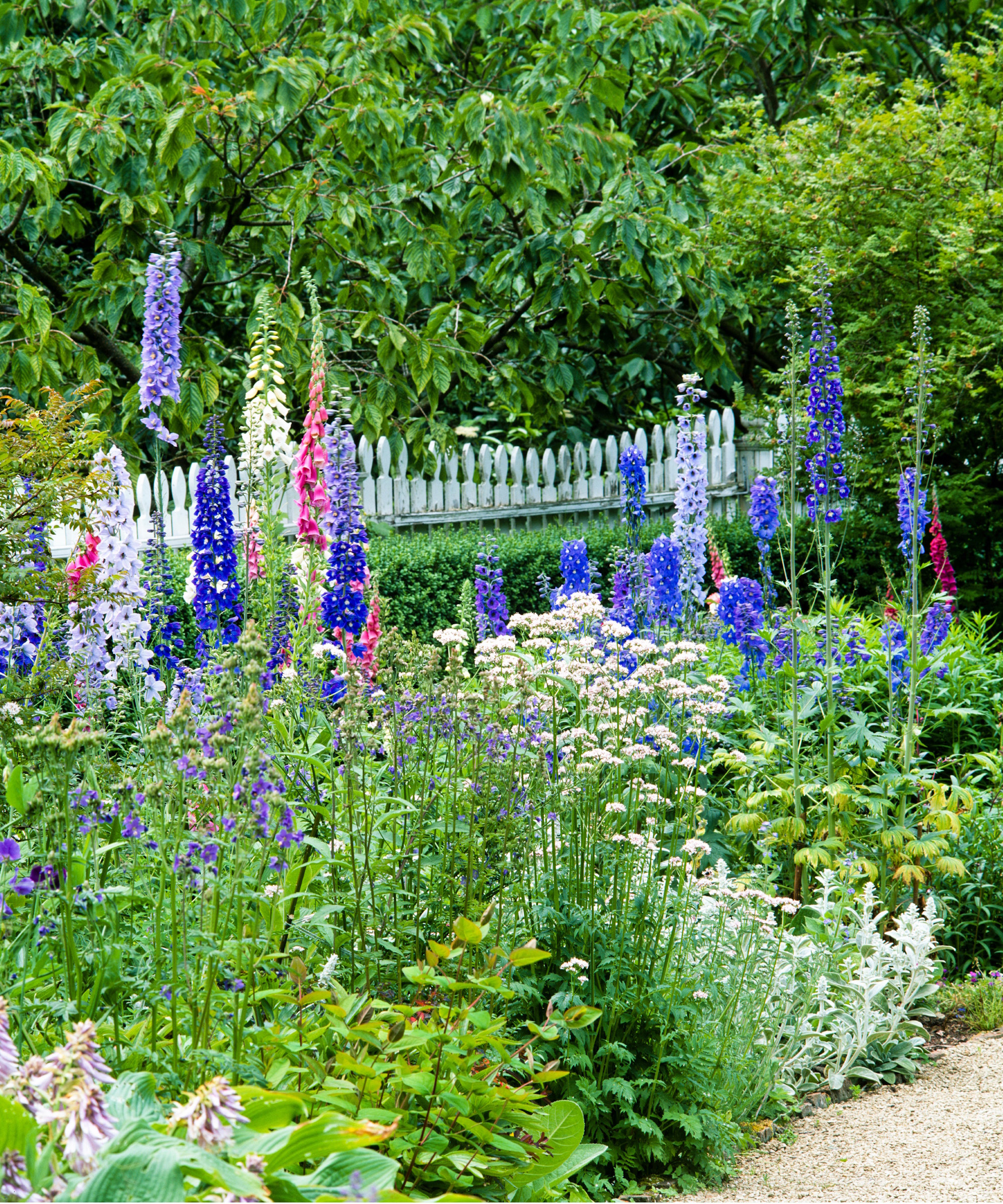 Wildflower planting