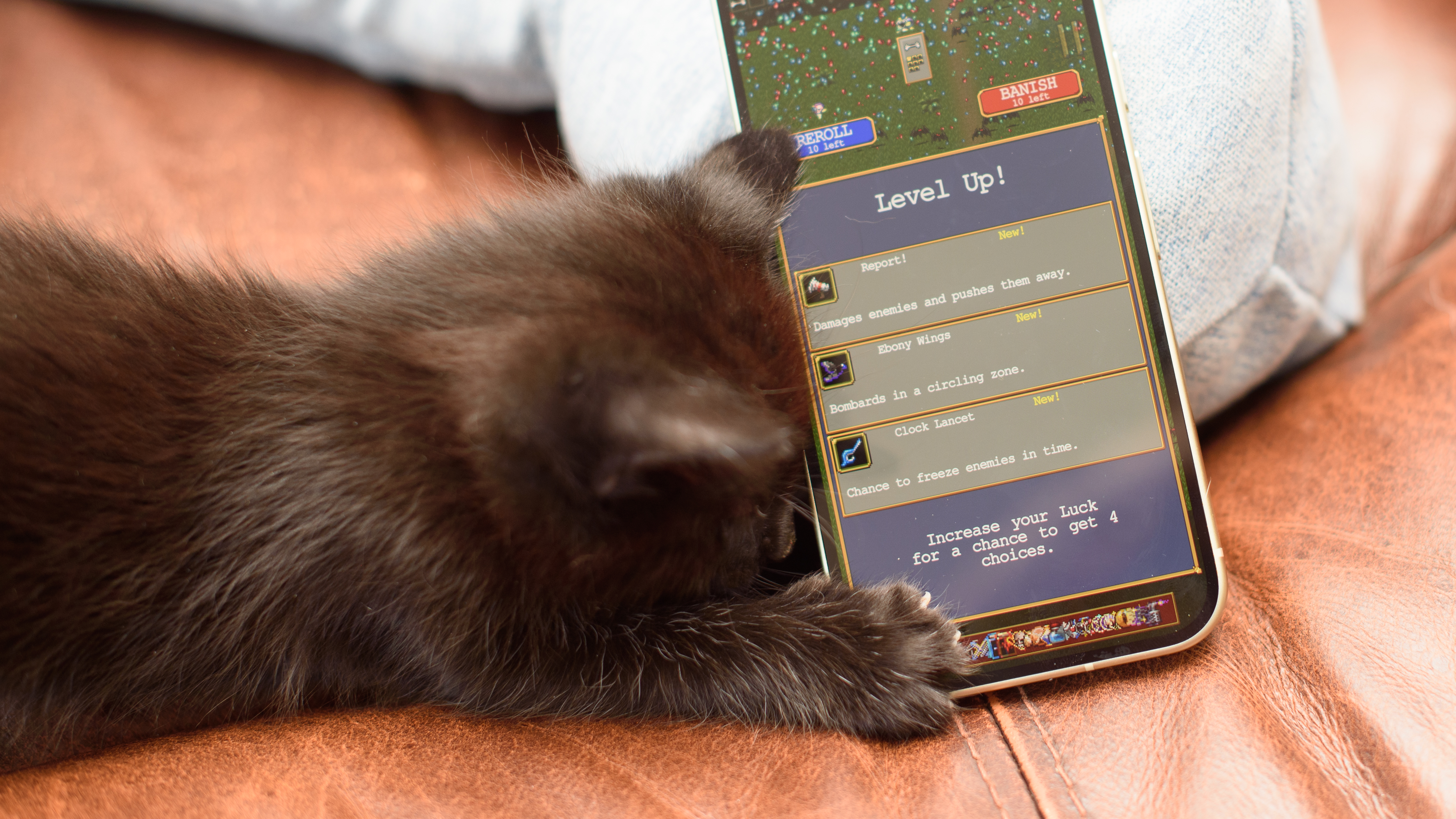 Two small 6 week old black kittens planning on and around a jade green Google Pixel 10 Pro phone, tapping the screen and clawing at the apps with their tiny murder claws