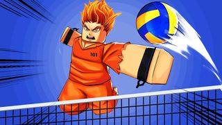 Volleyball Legends codes