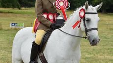 Redwings-Noel-thumbnail.jpg