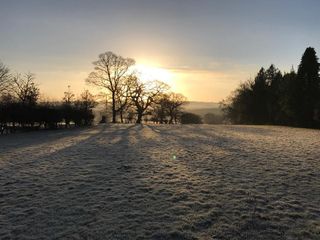 Frosty Britain - Harrogate