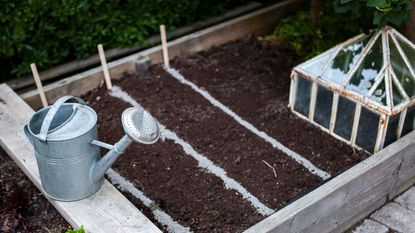 vegetable bed and cloche 