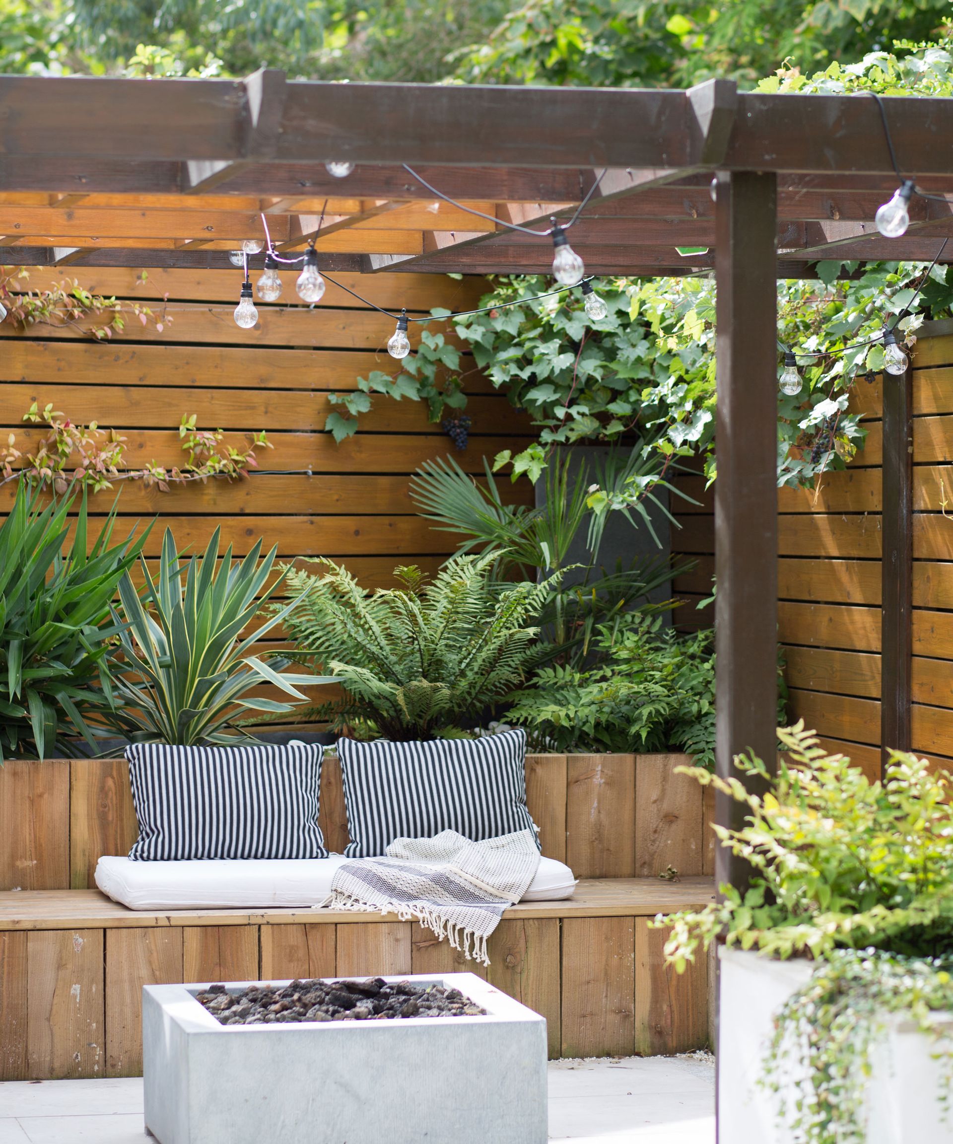 How to create backyard privacy without blocking light