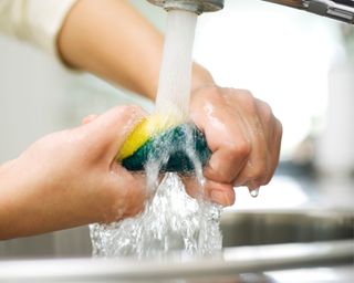 Person rinsing sponge under kitchen faucet