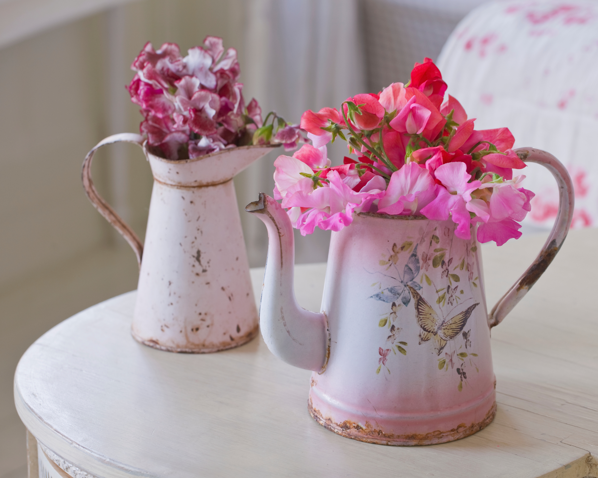sweet peas in vintage jugs as cut flowers