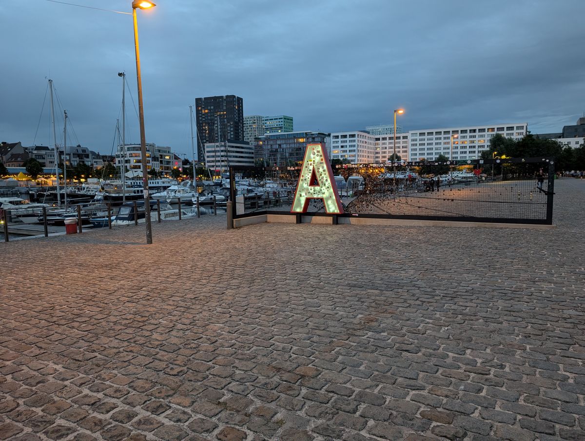 Google Pixel 9 Pro cameravoorbeeld