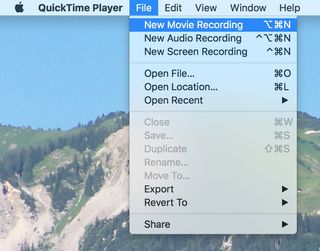 Screenshot: Quicktime player