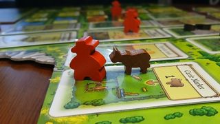 Photographs of the Agricola board game in play