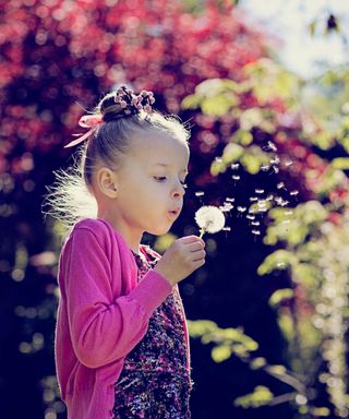 young girl blowing dandelion seeds