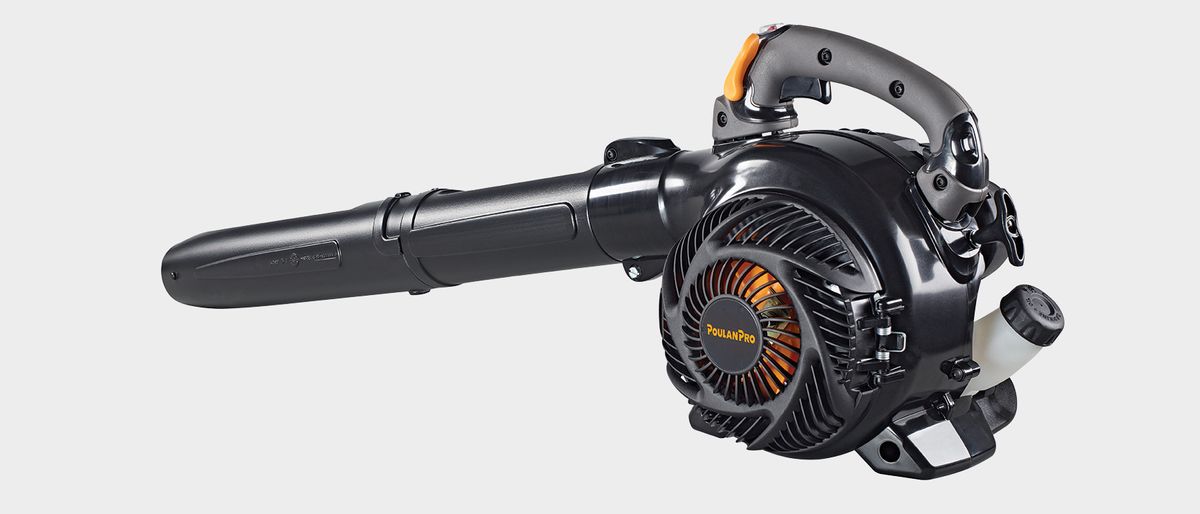 Poulan Pro PPBV25 Review Top Ten Reviews