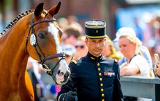 WEG eventing trot-up fashion