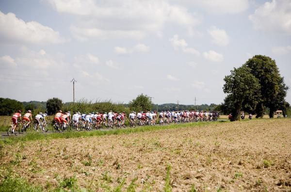 The peloton in full flight.