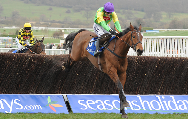 A successful 2009 Cheltenham Festival: Master Minded takes the Queen Mother Champion Chase