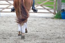 schooling