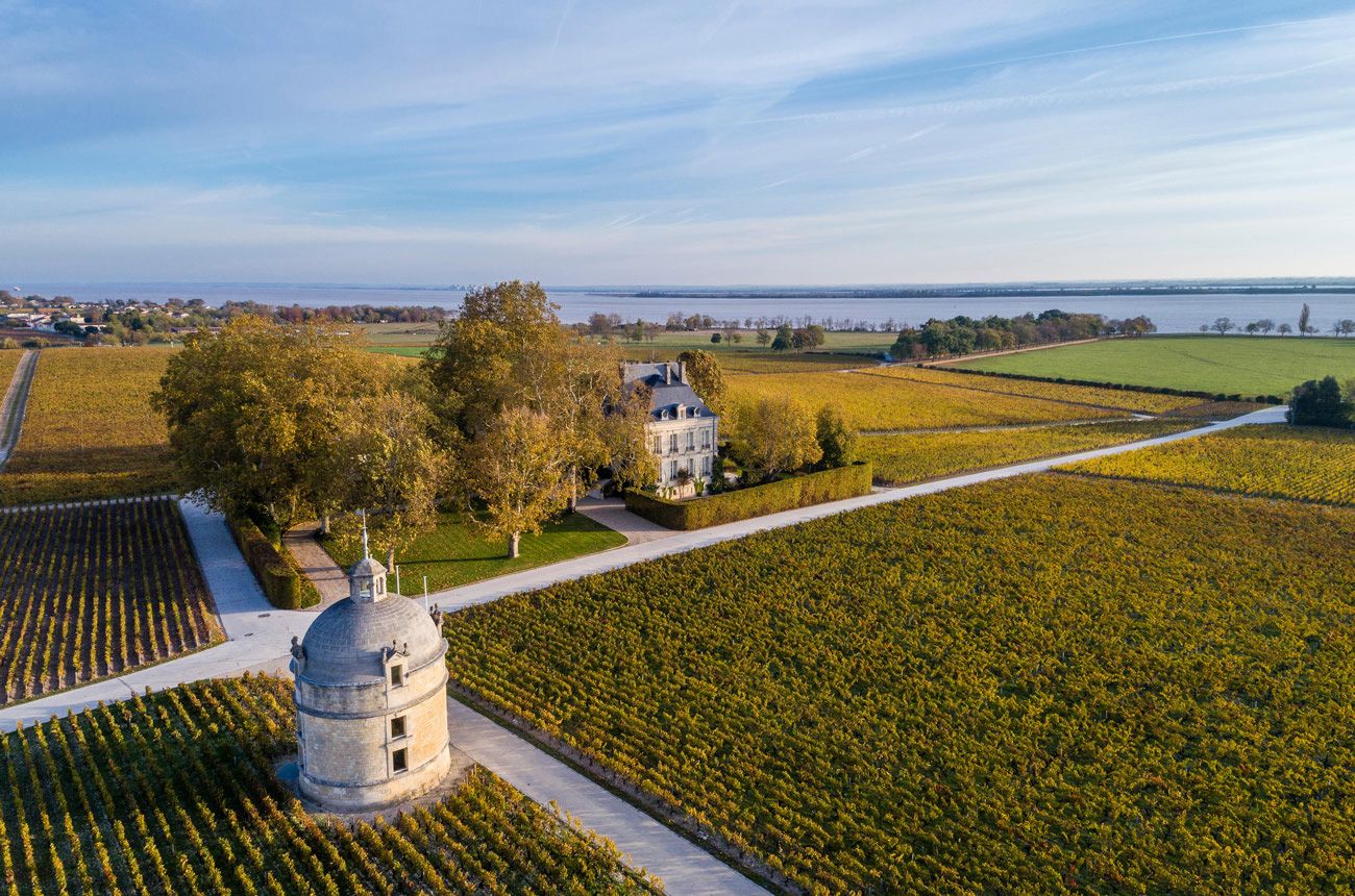 Chateau Latour vertical