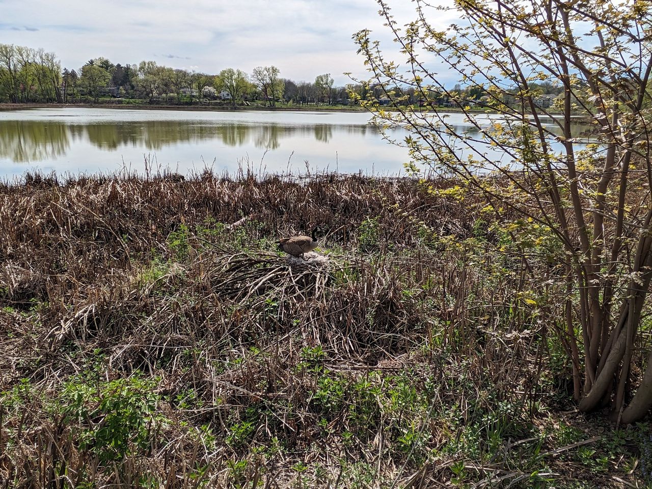 Google Pixel 7a camera samples