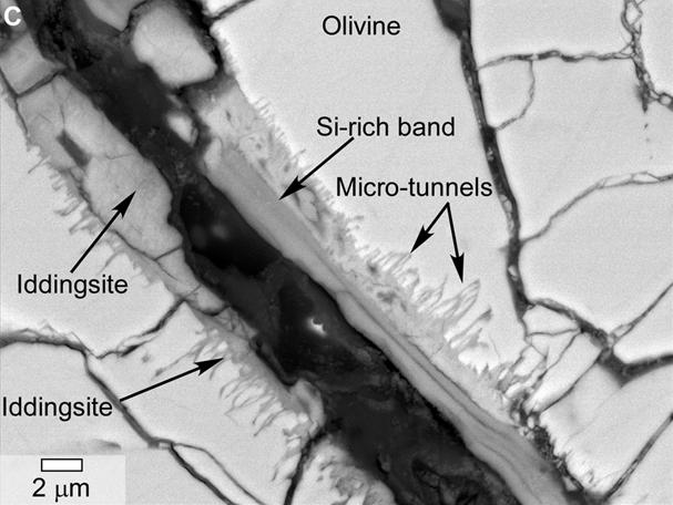 This scanning electron microscope image of a polished thin section of a meteorite from Mars shows tunnels and curved microtunnels. The clay mineral iddingsite is present in this meteorite, named Yamato 000593, which was found in Antarctica in 2000 and identified as originating from Mars. The scale bar at lower left is 2 microns.