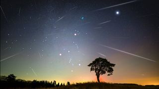 long streaks of light fill the sky as geminid meteor shower peaks. A silhoutted tree is below.