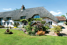 Hampshire thatched cottage