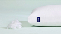 Casper pillow