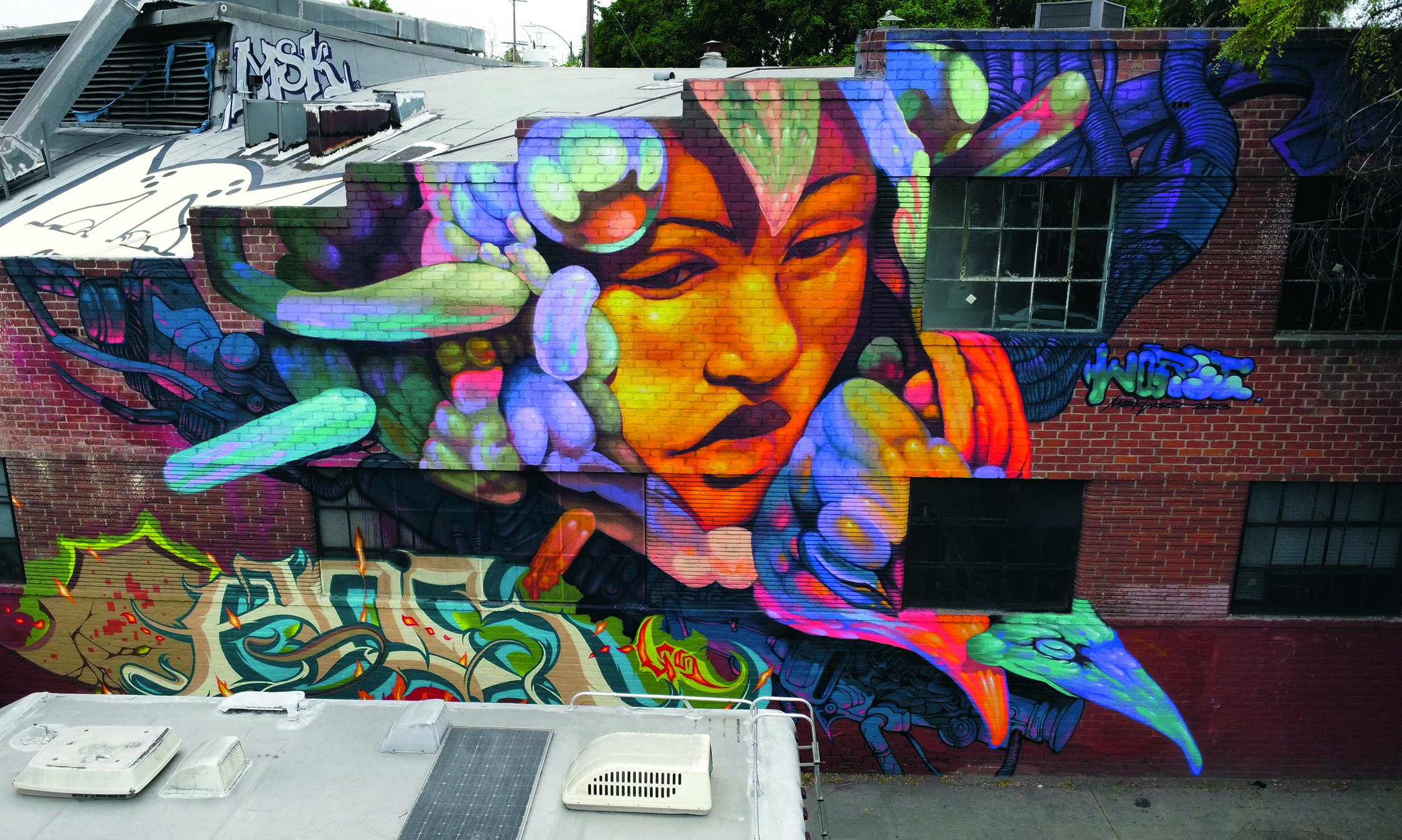 Street art on a building