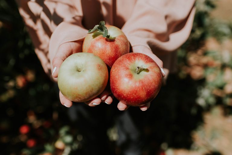 autumn gardening: Apples, by Natalie Grainer