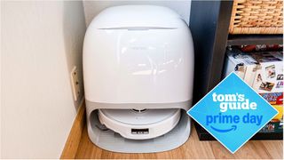 Roborock Qrevo Curv on wooden floor